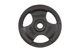 Svoriai štangai TOORX DGN-TG20, D - 50 mm, 20 kg