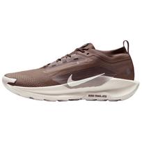 Nike Pegasus Trail 5 GORE-TEX Mink Brown Vyriški sportbačiai Baroque-Brown Moon-Particle HQ7494-200 39