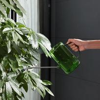 Laistytuvas 34oz Ergonomiška Rankena su Nuimamu Ilgu Snapeliu, Augalų Snapelis Vanduo