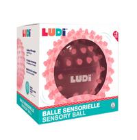 LUDI mankštos kamuolys rožinis 20 cm