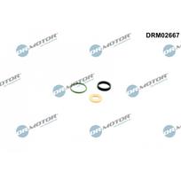 Purkštuko tarpinių rinkinys Dr.Motor Automotive DRM02667