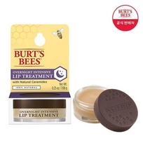 Burt's Bees Overnight Intensive Lip Treatment