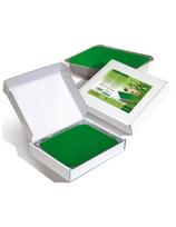 Holiday Depiliazone parafinas rankoms ir kojoms drėkinamasis Holiday Eucalyptus 1000ml