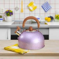 Kettle for Stove Top, Whistle Water Teapot Tea Boiling Milk Camping