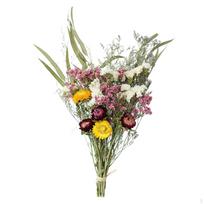Eukalipto Margalapis Džiovinti Augalai Gėlių Ornamentai Rankų Darbo „Heimwerken“ Vazei Vestuvėms Sun Flower