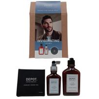DEPOT Gaivinantis rinkinys C – Nr. 105 šampūnas + Nr. 206 koncentruotas losjonas