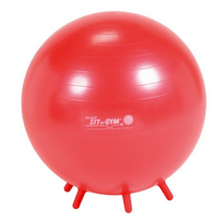 Sėdėjimo kamuolys SIT'n'GYM 55 cm, raudonas, 89.55