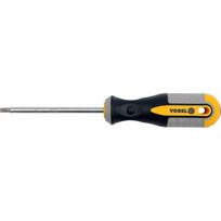 Atsuktuvas TORX T40x100 mm CRV