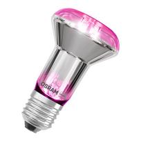 Lemp LED augalams 1300K E27 7.5W 140lm
