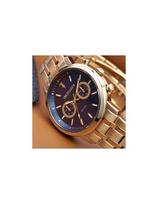 Vyriškas laikrodis Trussardi R2453147002