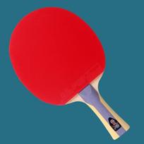 DHS 9-Star Professional Table Tennis Racket
