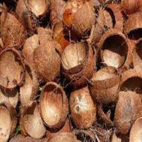 RSINC Žalia kokoso kevalų malka - Deginimui - BBQ LAUŽUI Lauke - -450g COCONUT_SHELL -01