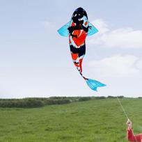 Karpio aitvaro vėliavėlė 3D Lengvai valdoma Kūrybiška Suaugusiems Vaikams Pradedantiesiems Didelis Parkas Paplūdimys