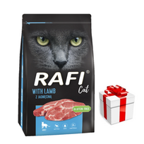 DOLINA NOTECI Rafi Cat sausas kačių maistas su ėriena 7 kg + Staigmena katei