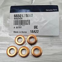 Nauja purkštuko tarpinė 6650170060 Ssangyong Rexton Kyron Stavic Actyon automobiliams 5PCS