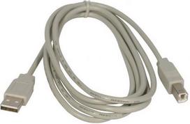 USB cable Logo USB-A - USB-B 5 m Grey (24120)