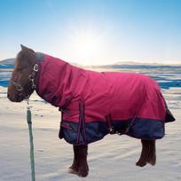 Horse Winter Turnout Blanket 600D Oxford with Hood Keep Resistant Sheet Waterproof Equestrian Burgundy Navy Blue M