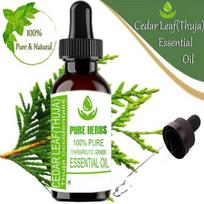 Grynos žolelės Kedro lapas-Tuja (Thuja occidentalis) Grynas ir natūralus terapinės klasės eterinis aliejus, plastikas su lašintuvu 10 ml