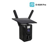 4G Solar-Powered Outdoor Hunting Camera with Full-Color Night Vision