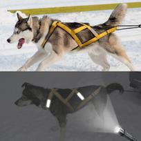 Šunų kinkinių rogės diržas Atspindintis naminio gyvūno svorio traukimo rogės diržas liemenė vidutinio dydžio ir dideliems šunims Husky Canicross Skijoring Motoroleriai chest 55 to 75cm geltona