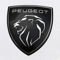 ABS Automobilio Priekiniai Lipdukai Galinės Bagažinės Emblema Šoninis Lipdukas Peugeot 308 3008 307 207 208 508 108 306 406 4008 5008 408 407 301 2008 6x6.7cm sidabras