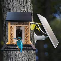 1080P Paukščių lesykla su HD kamera, įmontuota baterija, saulės energija, mažas energijos suvartojimas, naktinis matymas, lauko, IP66 atsparus vandeniui, 2.4G WiFi prijungta lesykla juoda