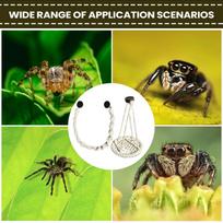 Jumping Spider Enclosure Accessories Hangable Rope Swing Spider Enclosure Decor For Terrarium Breeding Geckos Tree Frogs Hermit China Mainland