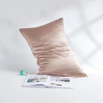 Double-Sided 19 Momme 100% Mulberry Silk Pillowcase with Custom Logo Option 51x66cm (Plain Envelope)