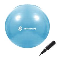 Gimnastikos kamuolys su pompa, Springos FB0006, 55 cm