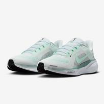 Nike Pegasus 41 Moteriški bėgimo bateliai 39