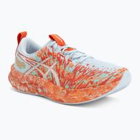 Vyriški bėgimo bateliai Asics Noosa Tri 16 sky/cherry tomato