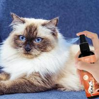 Dog Grooming Spray Dog Hair Detangler Spray Matted 100ml Oils Infused Matted Fur Remover And Cat Detangler Spray With Vitamin E China Mainland