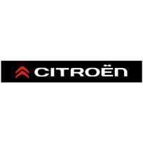 1 vnt. Automobilio priekinio galinio lango lipdukas Vandeniui atsparus saulės skydelis priekinio stiklo lipdukas skirtas DS Citroen DS3 DS4 DS4S DS5 DS 5LS DS6 WILD SPIRIT