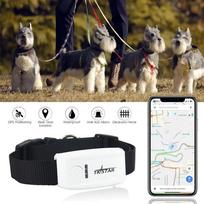 Gps Tracker Pet 2g Gsm With Collar And Free App Tracking Waterproof Ip67 For Dog Cat balta