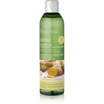 Bottega Verde Zenzero valomasis šampūnas plaukams stiprinti 250 ml