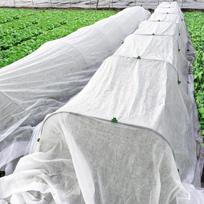 2x10m Žiemos augalų apsauga nuo šalčio Storas neaustinis uždangalas one size žalia