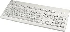 "Cherry W95 PS2/USB" klaviatūra - pilka