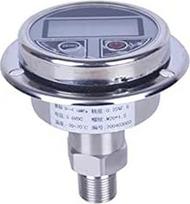 Skaitmeninis manometras-Jingpu-Digitalanzeigedruckmessgerät Alle Edelstahl-Manometer-Akku-Druckmessung(0~4)