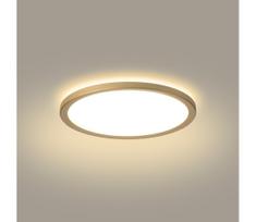Brilagi - LED vonios kambario šviestuvas ULTRA SLIM LED/12W/230V skersmuo 22,5 cm aukso spalvos IP54