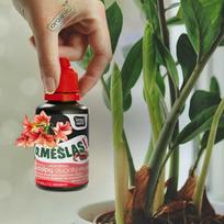 Biohumuso trąšos kambariniams augalams O Mesli Worm house 100ml