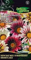 Gazanija standžioji New Day Mix Srawberry Shortcake