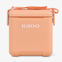 Nešiojamas šaldytuvas Igloo Tag Along Too Cooler, 10 L, oranžinė