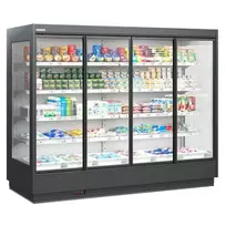 Vertikali vitrina aušina denį / 1250x850x2075mm