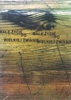 Mažas gyvenimas po didelių pokyčių - knyga