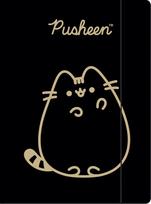 A4 piešimo aplankas su gumyte Pusheen Gold - katytė