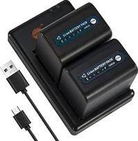 DSTE NP-QM91D NP-QM91 (5500mAh/7.4V) baterijos įkroviklis, suderinamas su "Sony" CCD-TRV318 CCD-TRV328 CCD-TRV338 DCR-DVD100 DCR-DVD200 DCR-DVD201 DCR-DVD300 DCR-HC14 DCR-PC14 DCR-PC11 05 DCR-PC120BT fotoaparatu