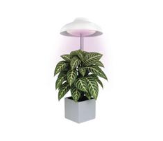 LED vidaus lempa augalų auginimui GROW LED/5W/5V