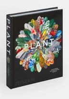 Plant: Exploring the Botanical World
