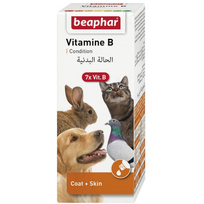 VITAMINŲ B KOMPLEKSAS 50 ML – vitaminų B rinkinys