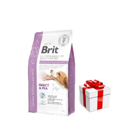BRIT GF Veterinarinės dietos Šunims Ultra-hipoalerginis Vabzdžiai 400g + Staigmena ŠUNIUI
